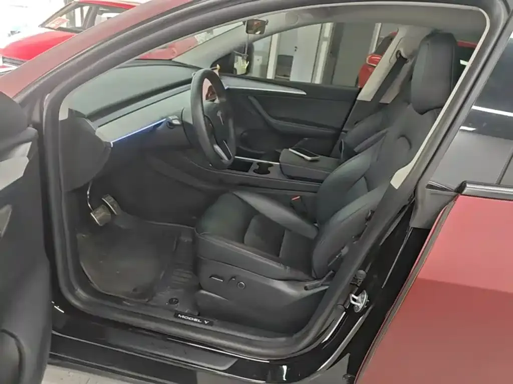 Tesla Model Y — фото 10