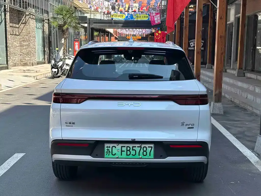 BYD Pro New Energy — фото 7