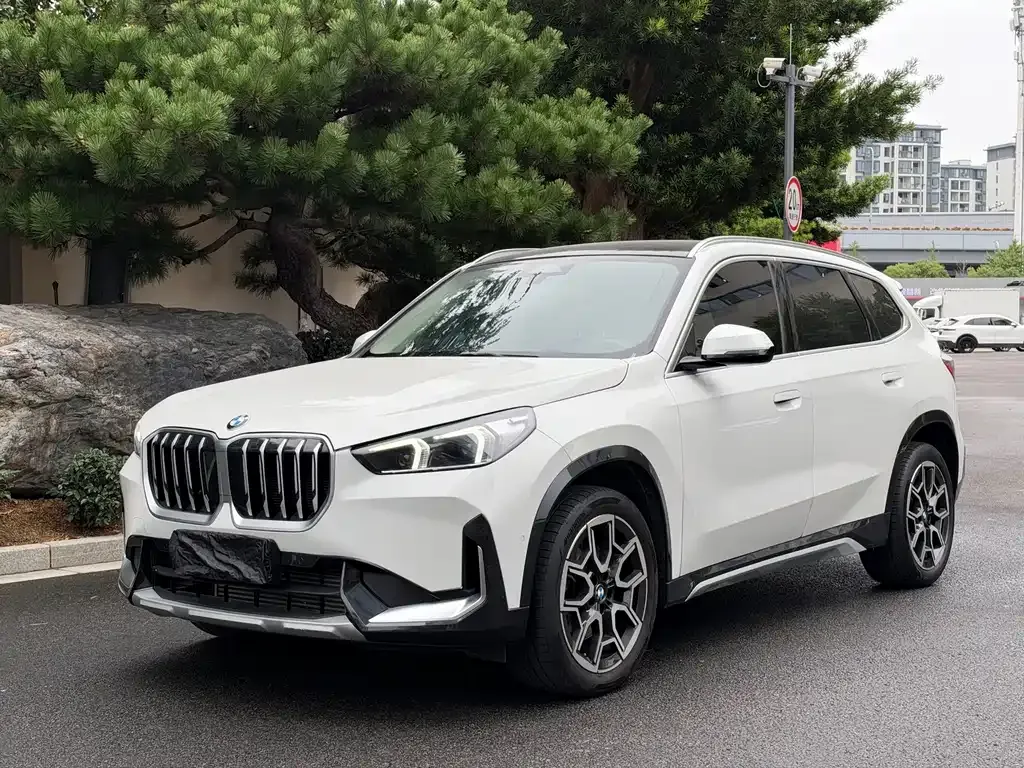 BMW X1 — фото 1
