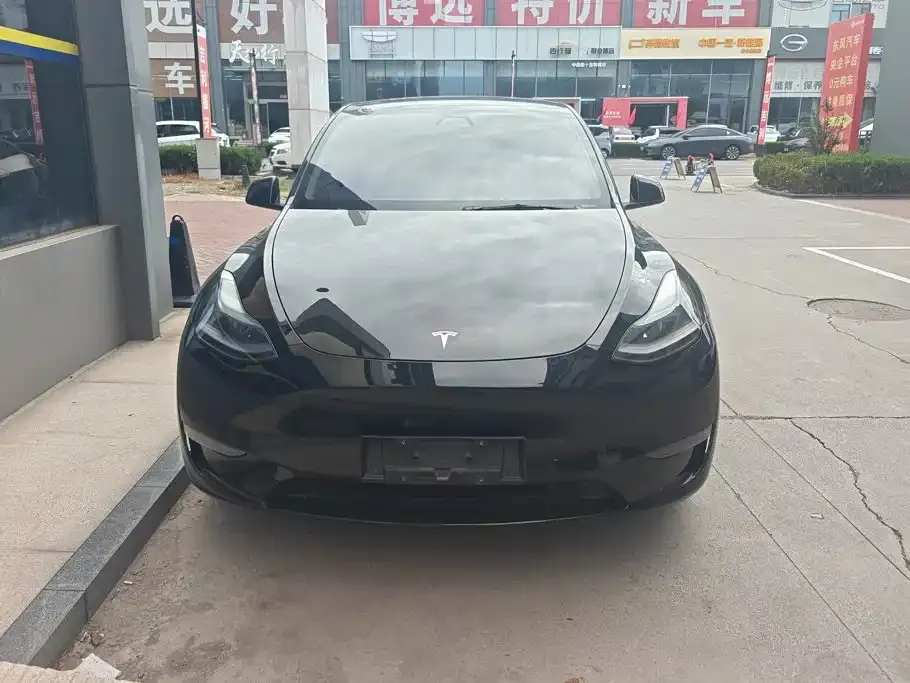 Tesla Model Y — фото 10
