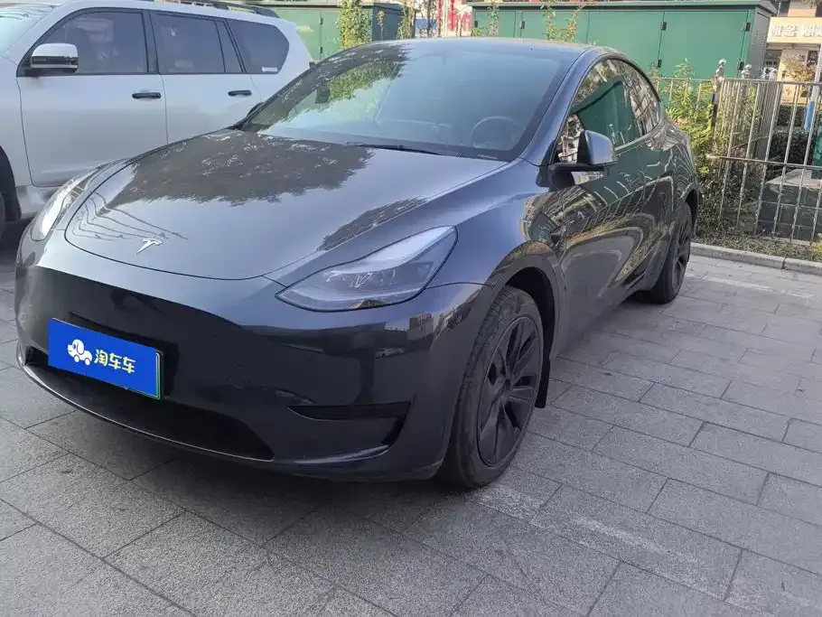 Tesla Model Y — фото 1
