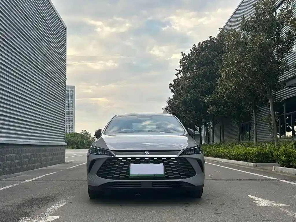 BYD Qin PLUS — фото 6
