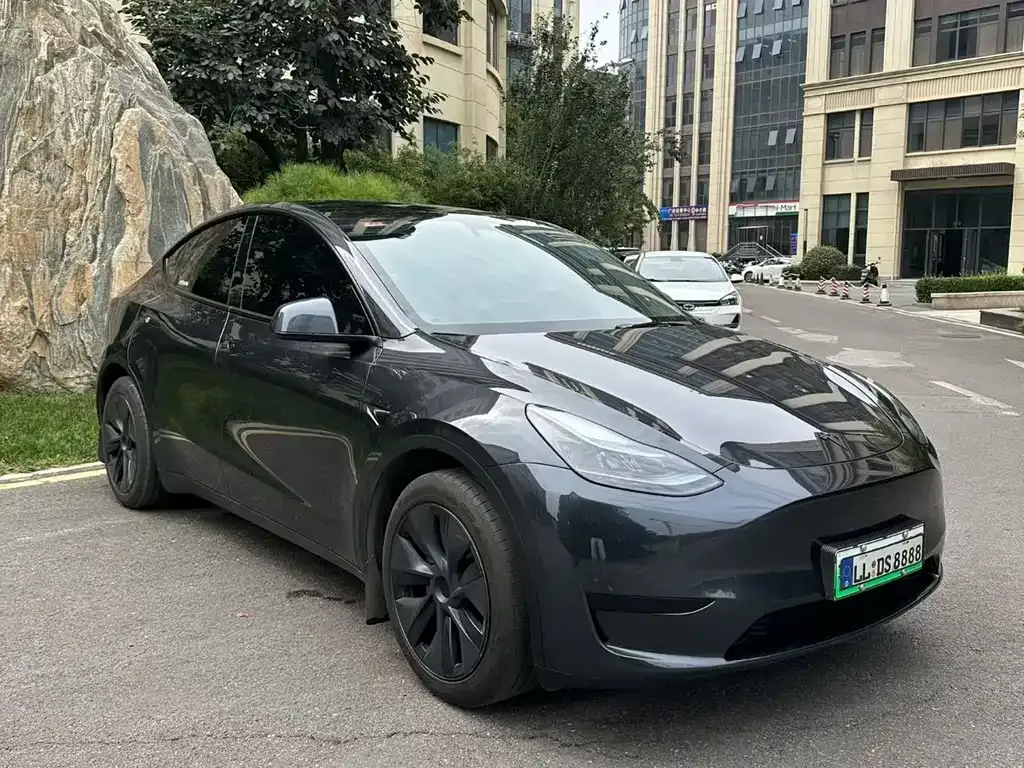 Tesla Model Y — фото 5