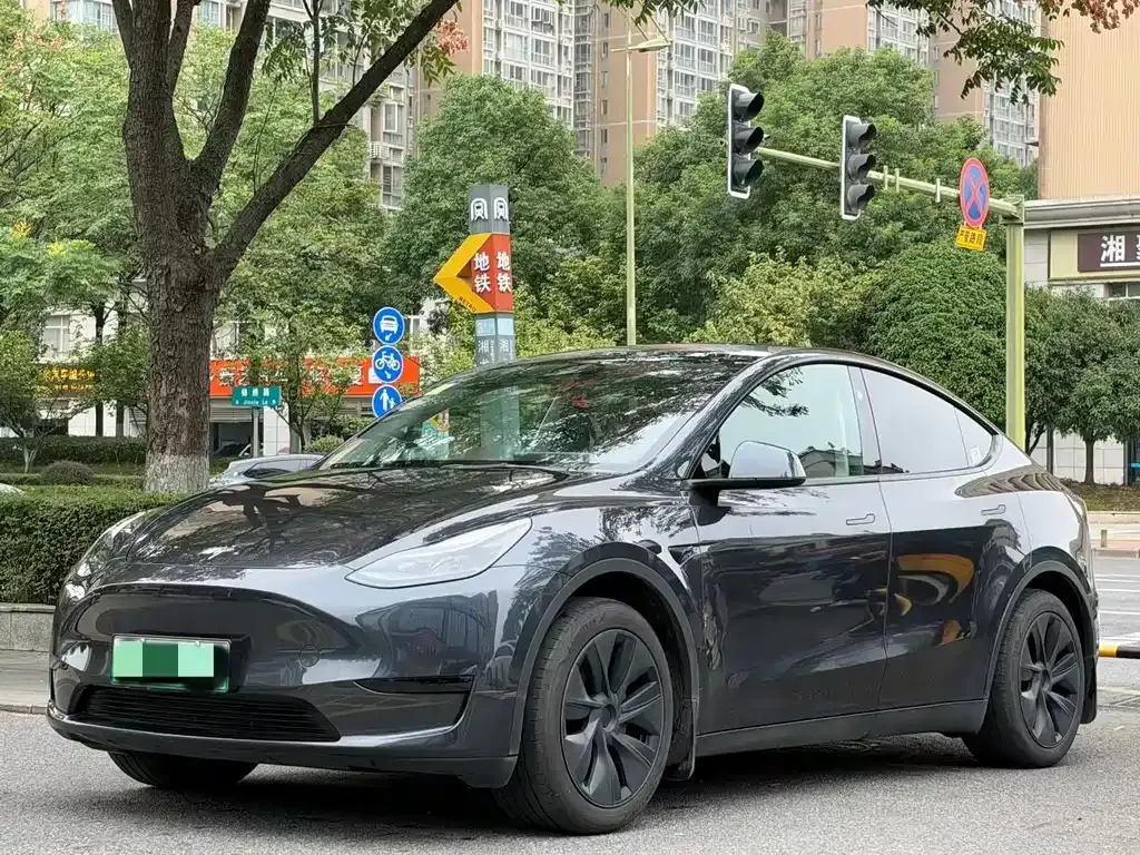 Tesla Model Y — фото 1
