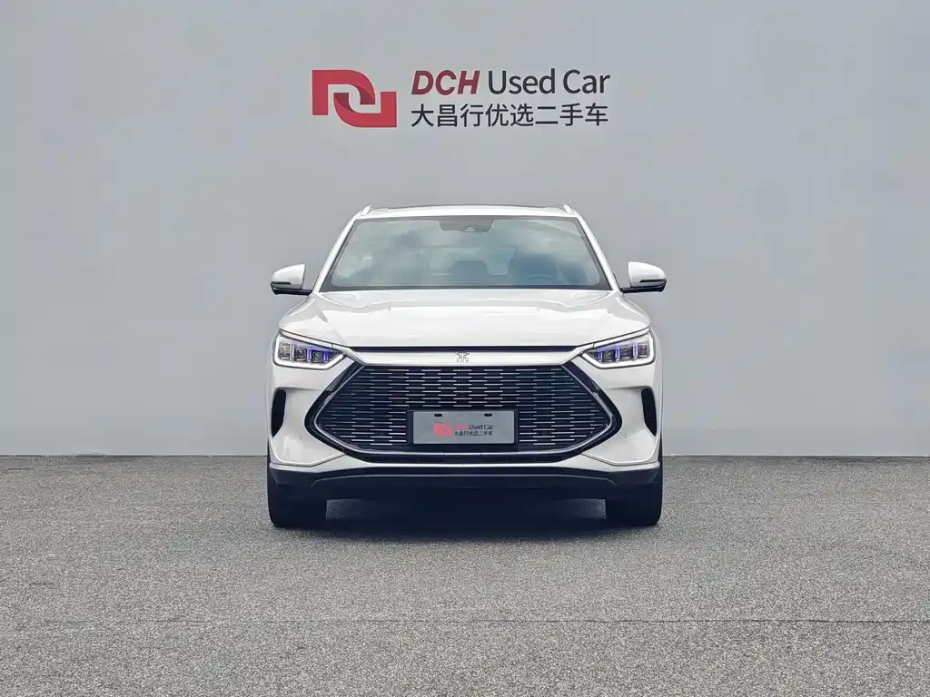BYD PLUS New Energy — фото 10