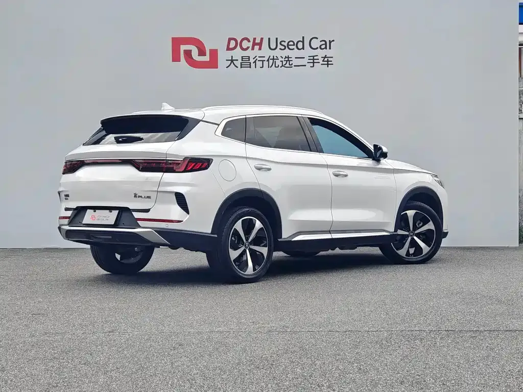 BYD PLUS New Energy — фото 9