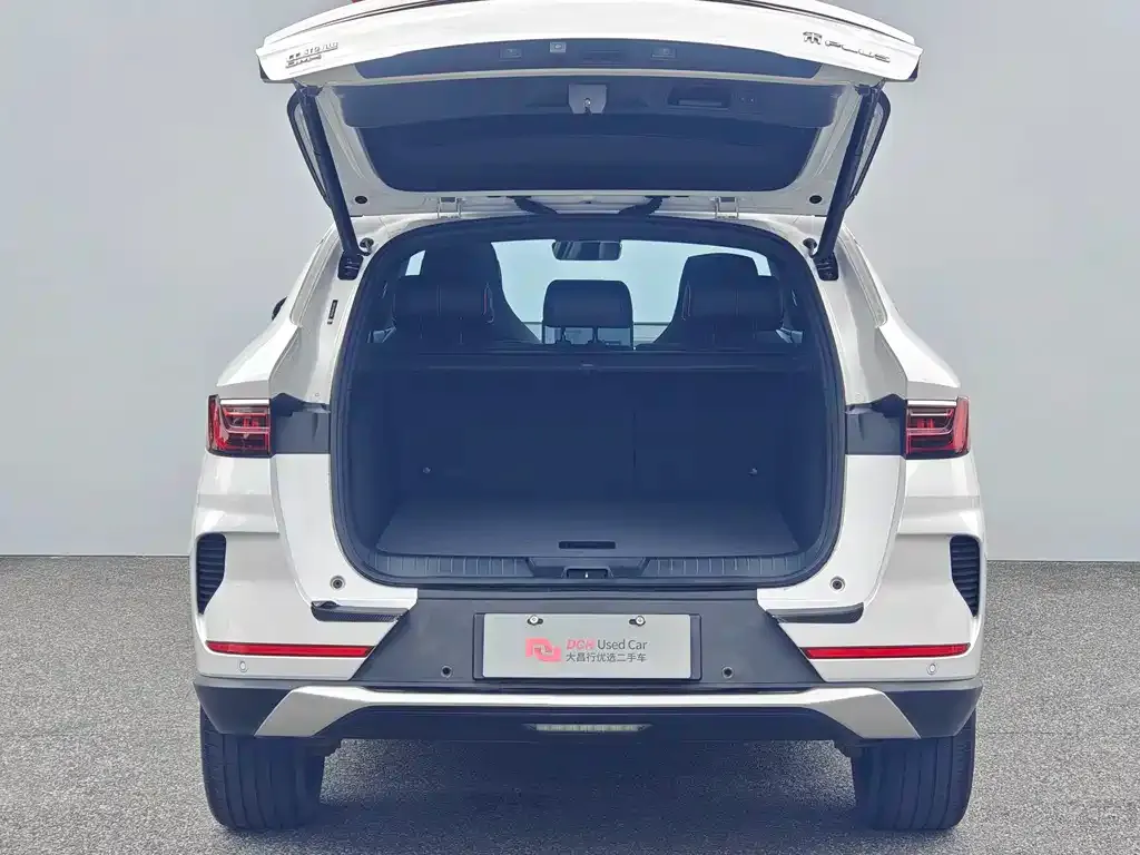 BYD PLUS New Energy — фото 6