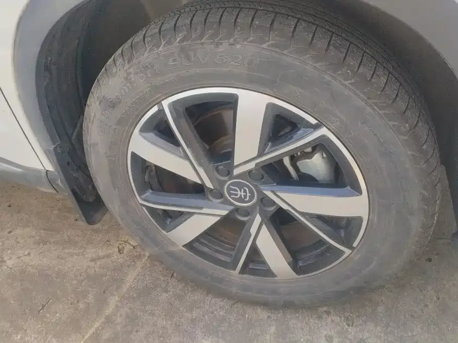 BYD Pro New Energy — фото 4