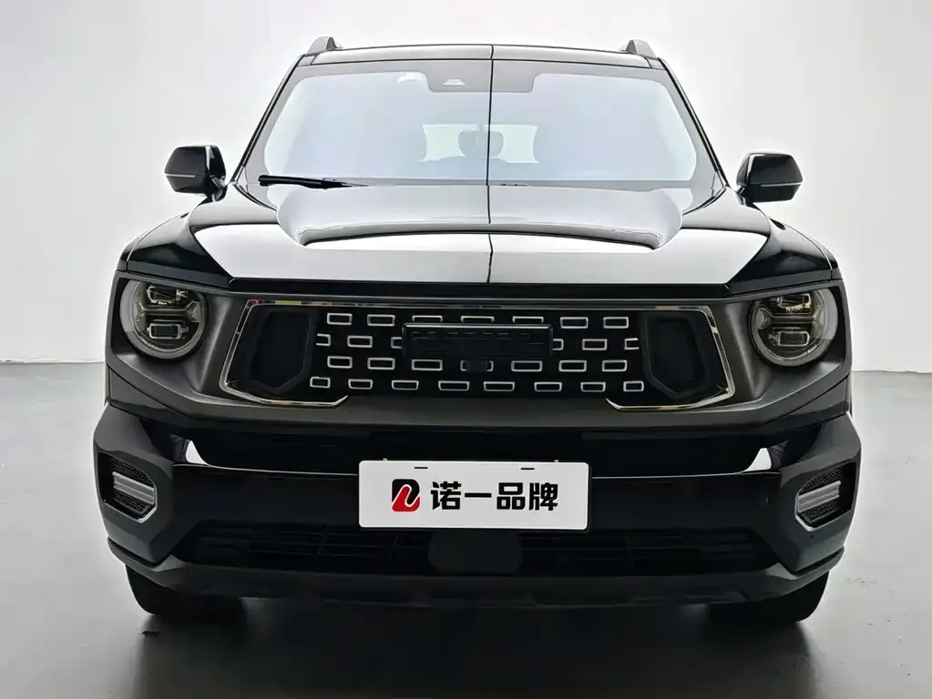 Haval Big Dog PLUS New Energy — фото 4