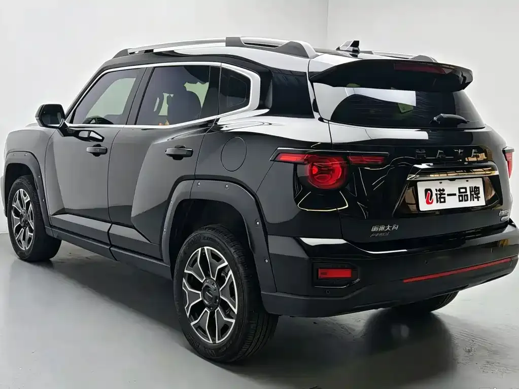 Haval Big Dog PLUS New Energy — фото 8