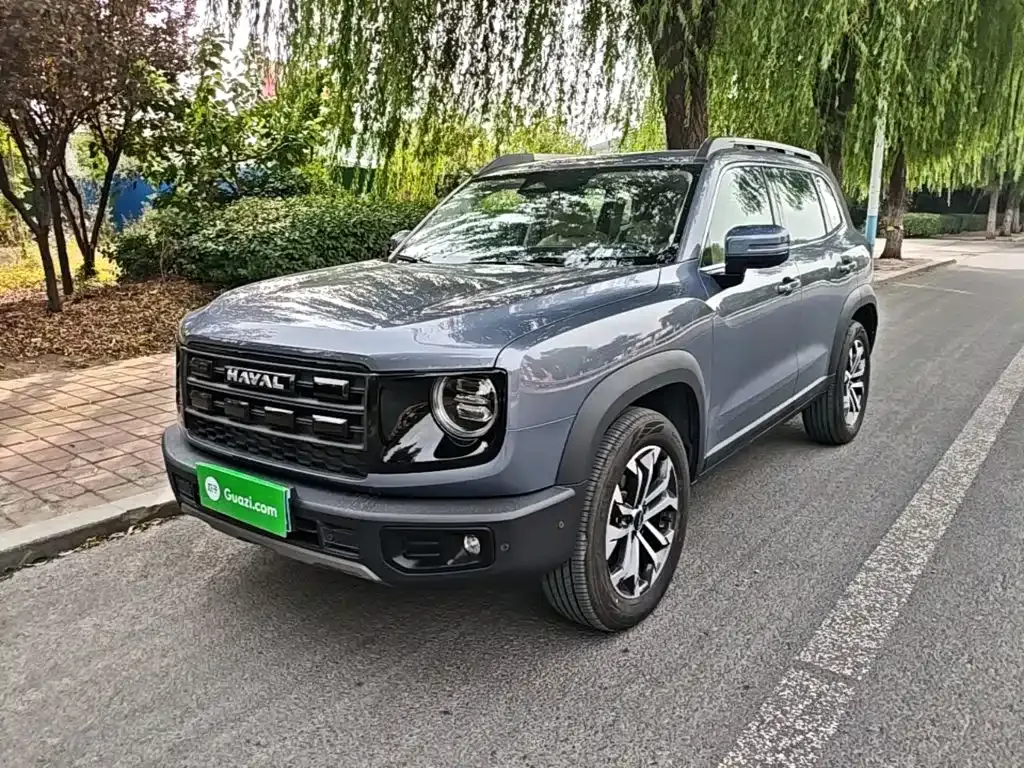 Haval Big Dog — фото 8