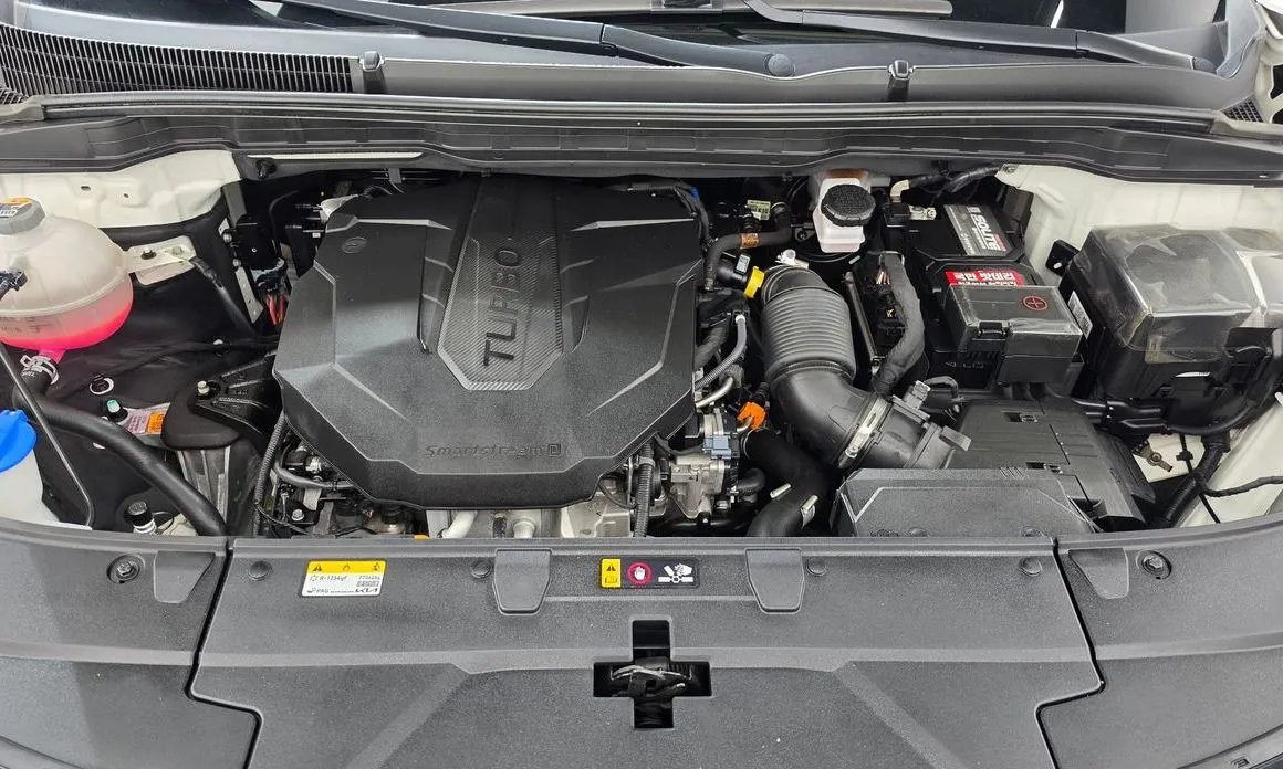 Kia Carnival — фото 10