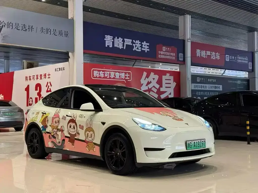 Tesla Model Y — фото 8