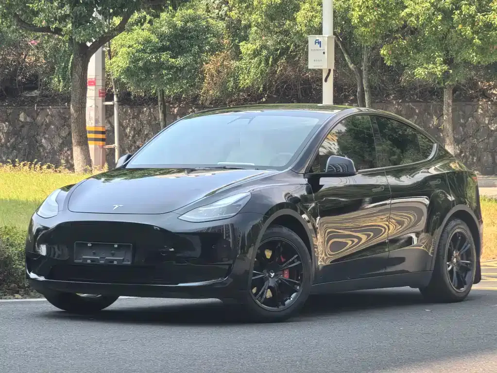 Tesla Model Y — фото 1