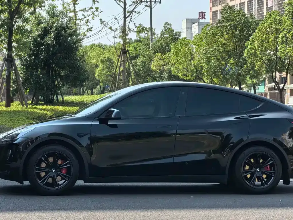 Tesla Model Y — фото 5