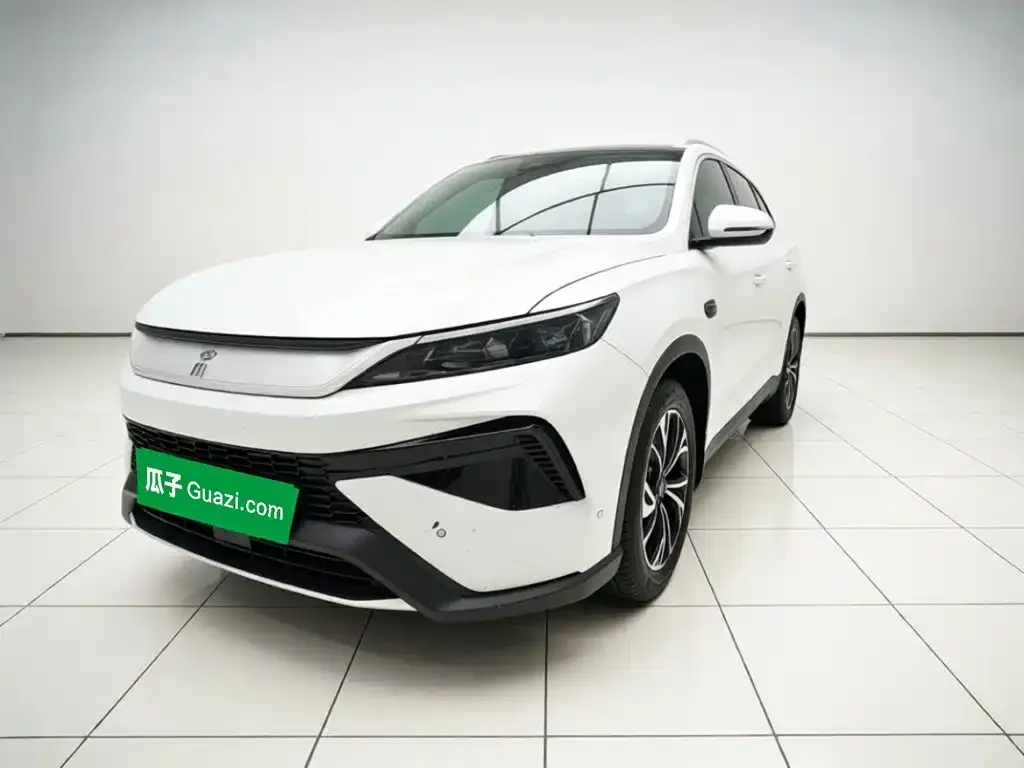 BYD Pro New Energy — фото 1