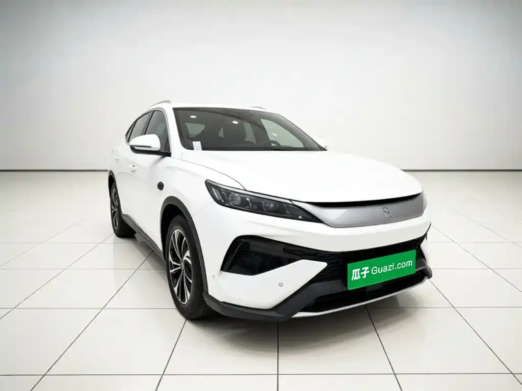 BYD Pro New Energy — фото 5