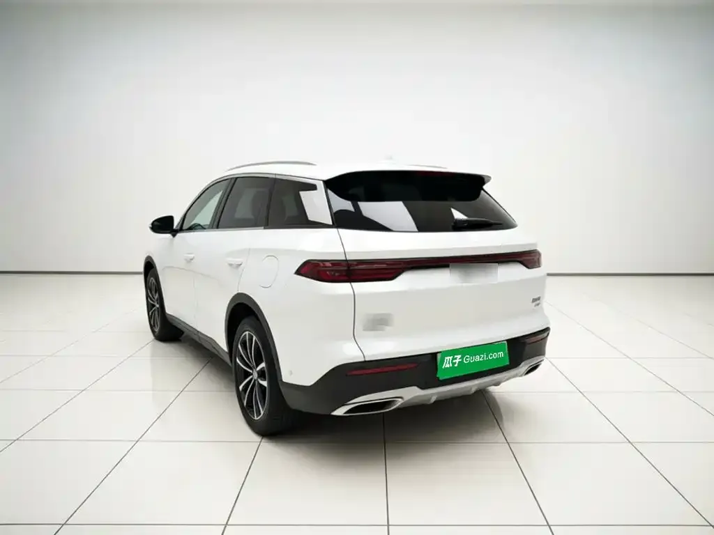 BYD Pro New Energy — фото 2
