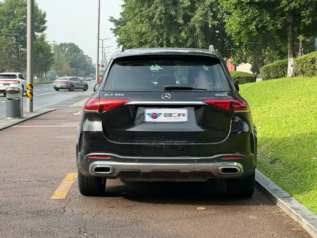 Mercedes-Benz GLE (Import) — фото 10