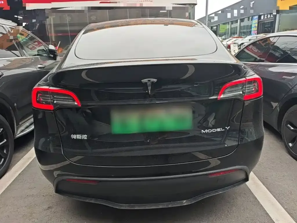 Tesla Model Y — фото 10