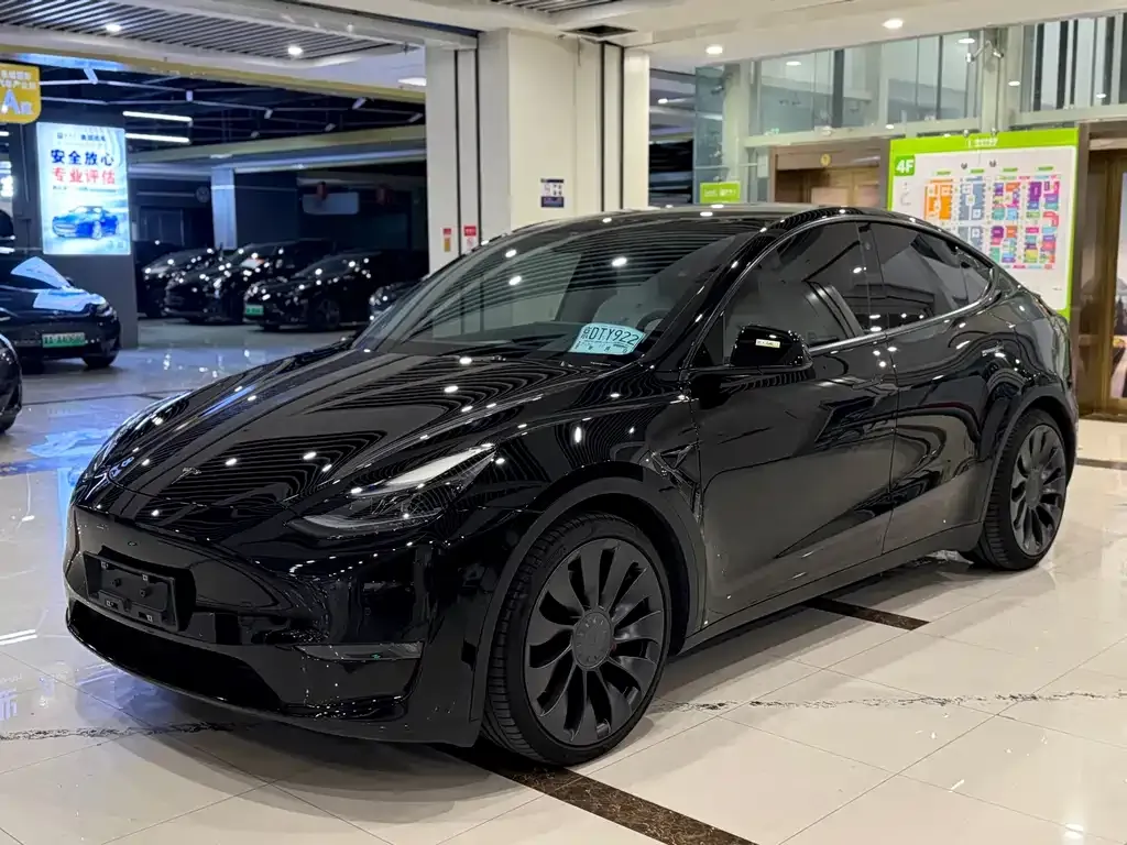 Tesla Model Y — фото 1