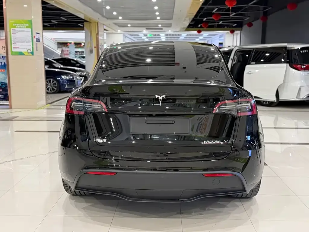 Tesla Model Y — фото 2