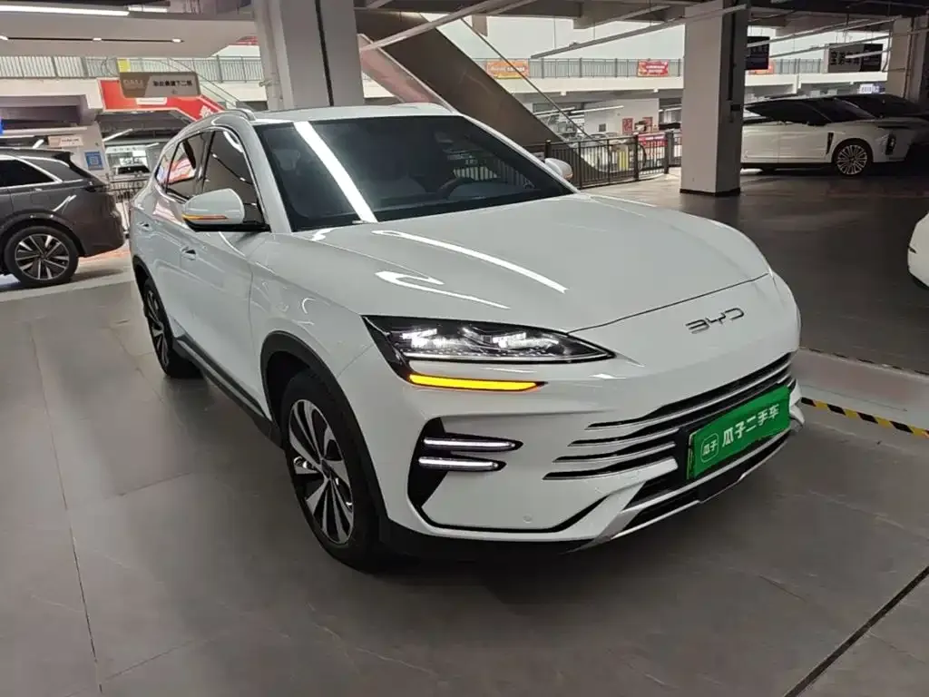 BYD PLUS New Energy — фото 7