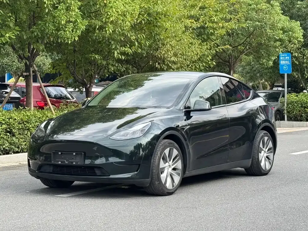 Tesla Model Y — фото 1