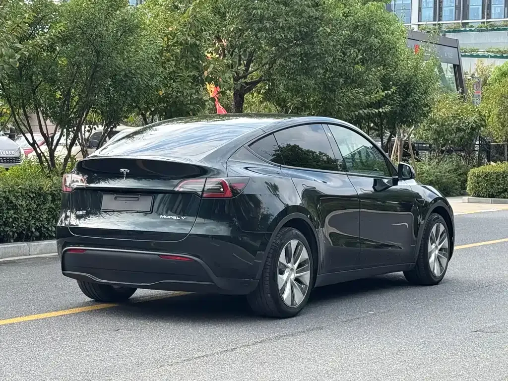 Tesla Model Y — фото 10