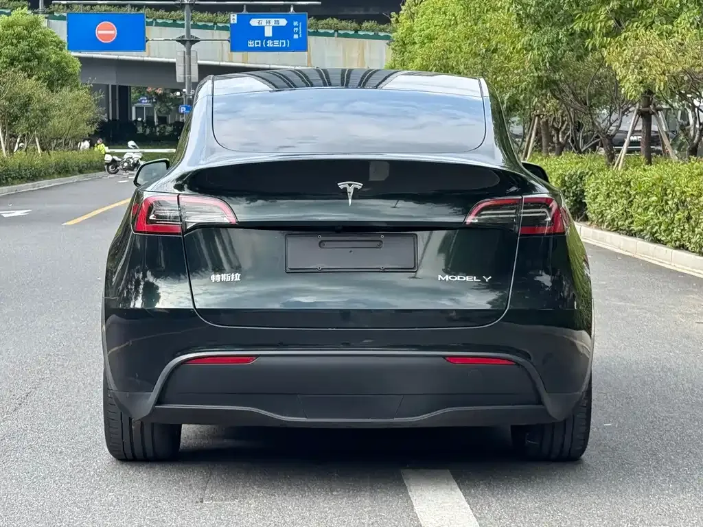 Tesla Model Y — фото 2