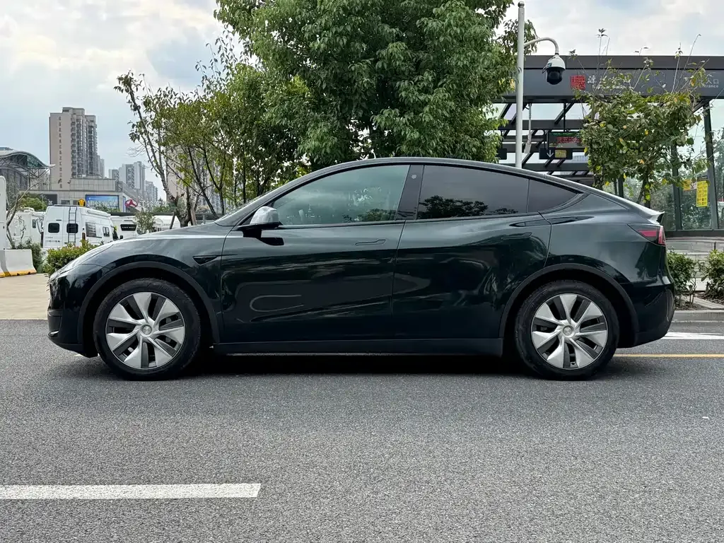 Tesla Model Y — фото 3