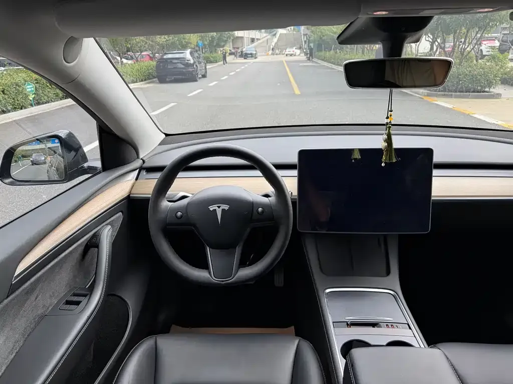 Tesla Model Y — фото 9