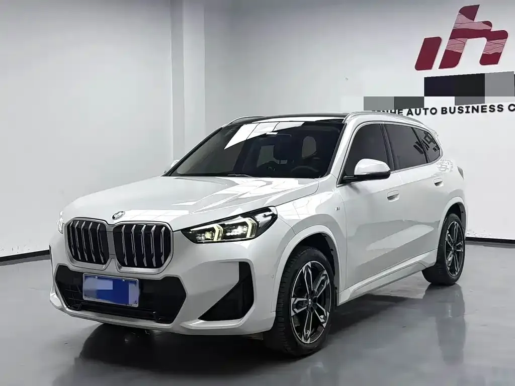 BMW X1 — фото 1
