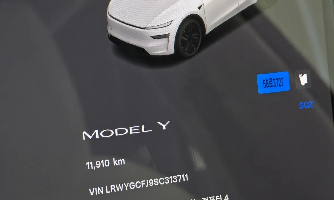 Tesla Model Y — фото 10