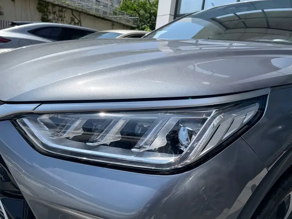 BYD PLUS New Energy — фото 3