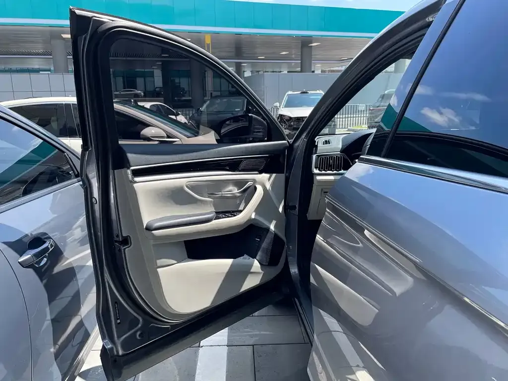 BYD PLUS New Energy — фото 10