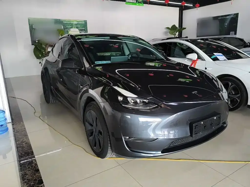 Tesla Model Y — фото 10