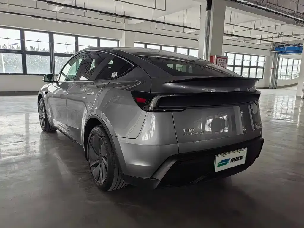Tesla Model Y — фото 9