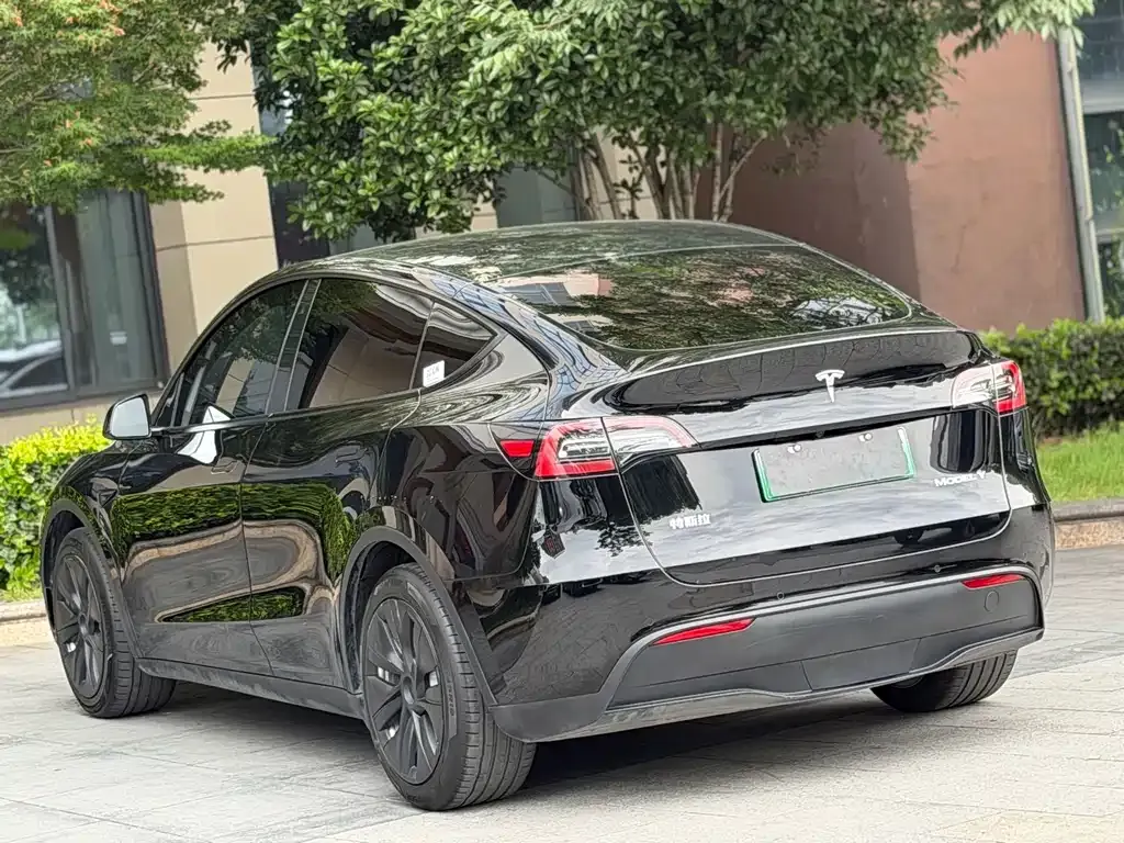 Tesla Model Y — фото 10