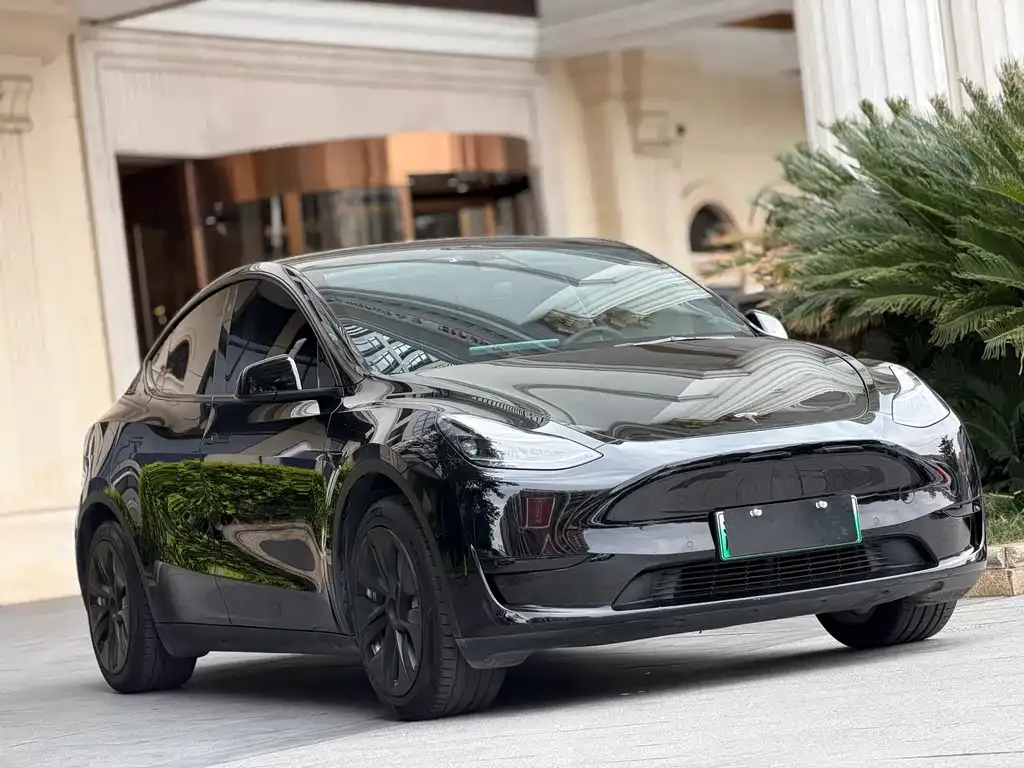 Tesla Model Y — фото 4
