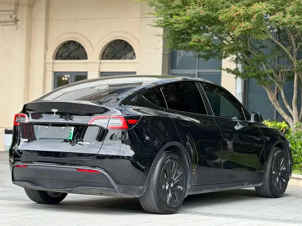 Tesla Model Y — фото 2