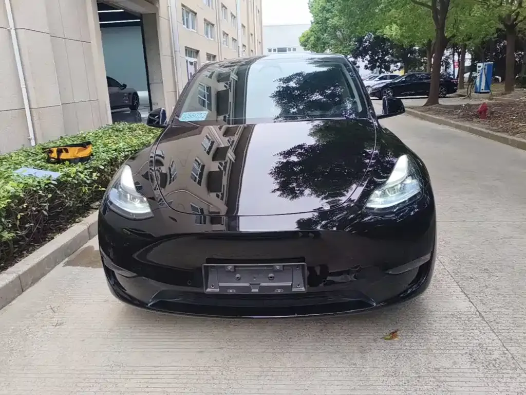Tesla Model Y — фото 6