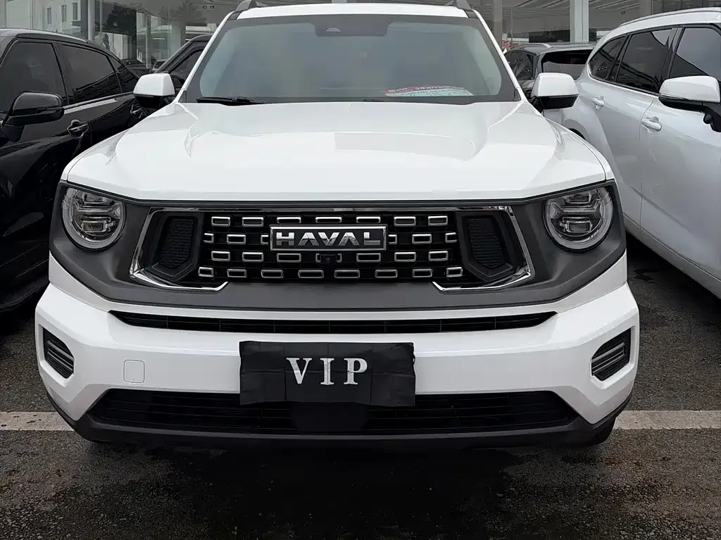 Haval Big Dog PLUS — фото 7