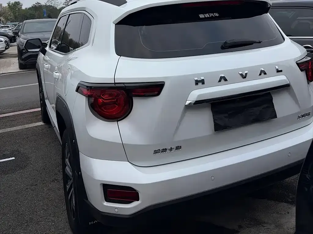 Haval Big Dog PLUS — фото 9