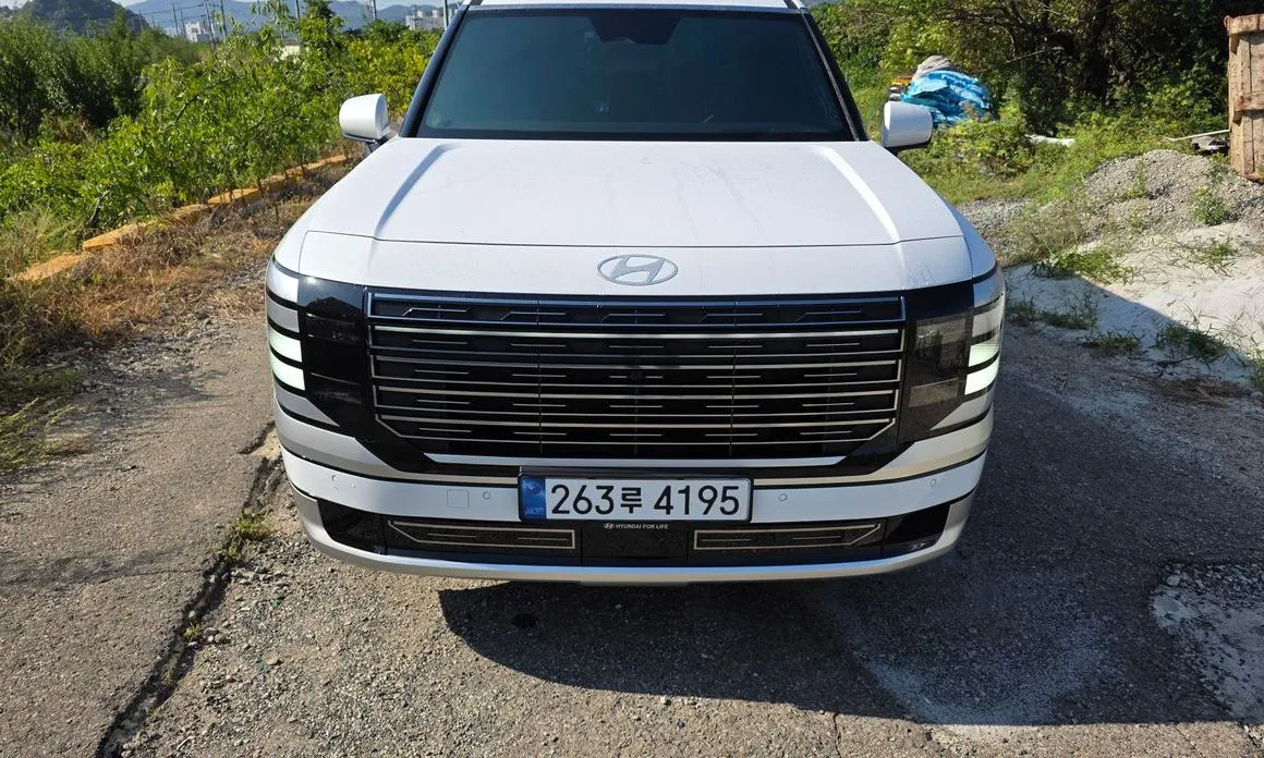 Hyundai Palisade — фото 8