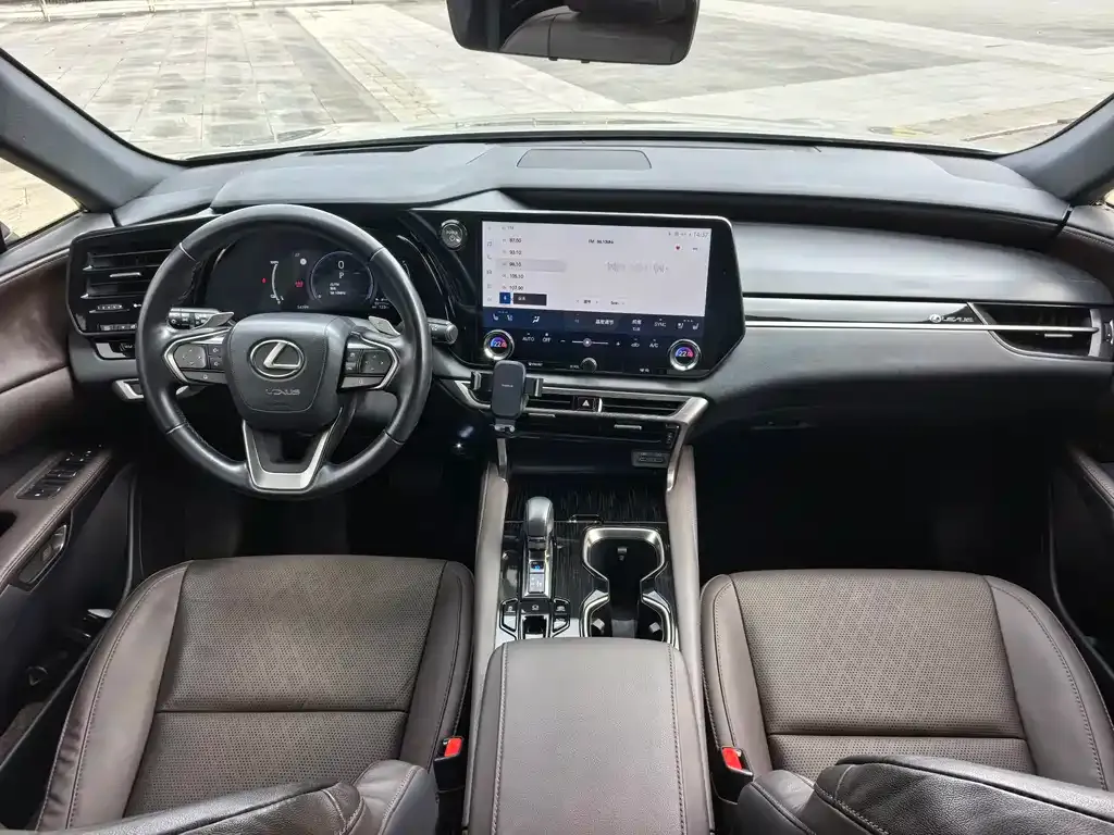 Lexus RX New Energy — фото 9