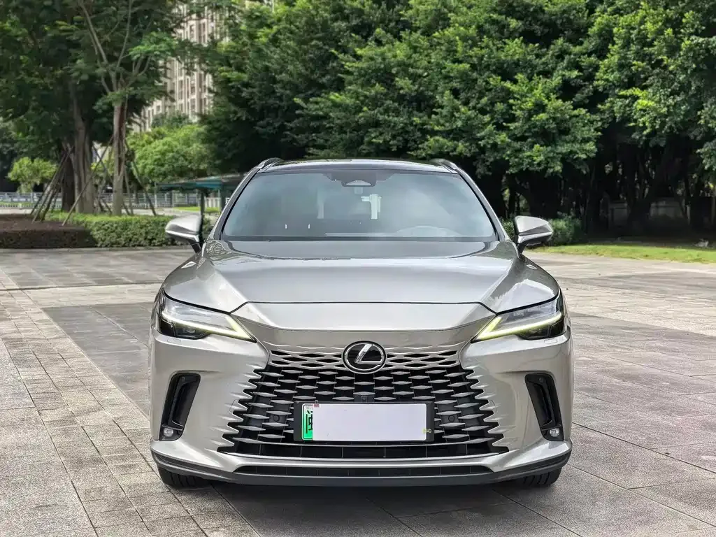 Lexus RX New Energy — фото 7