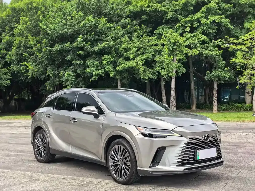 Lexus RX New Energy — фото 8