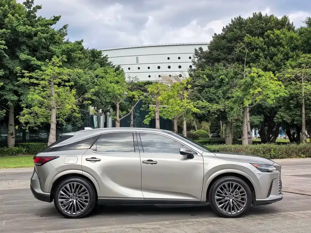 Lexus RX New Energy — фото 10