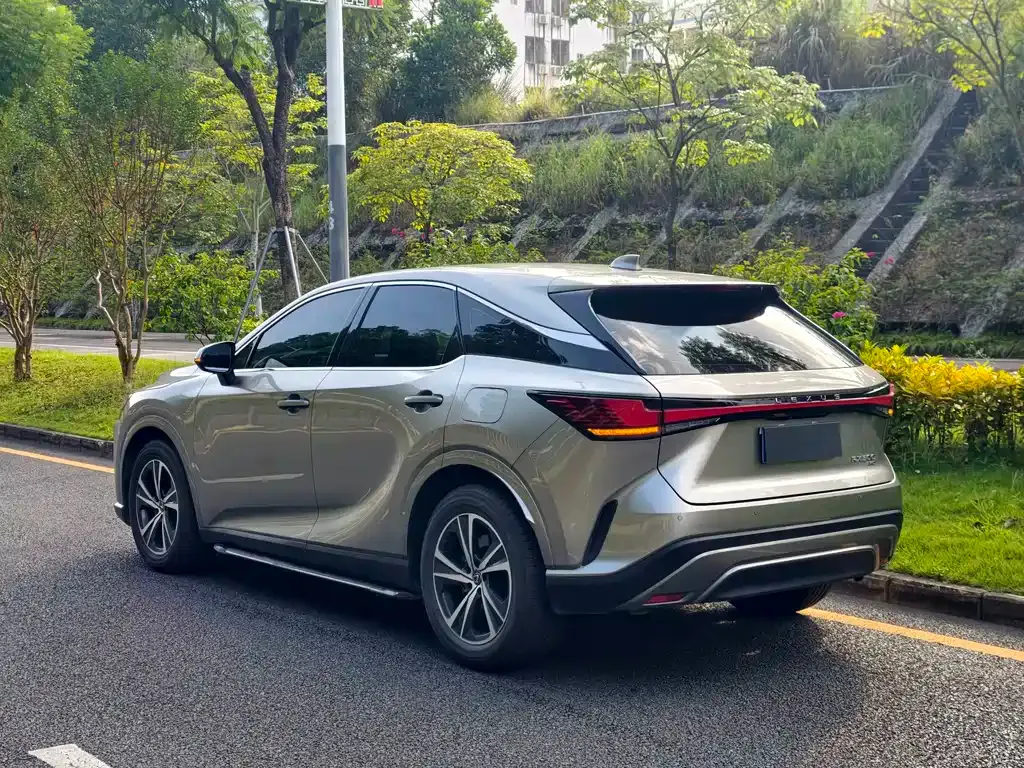 Lexus RX — фото 9